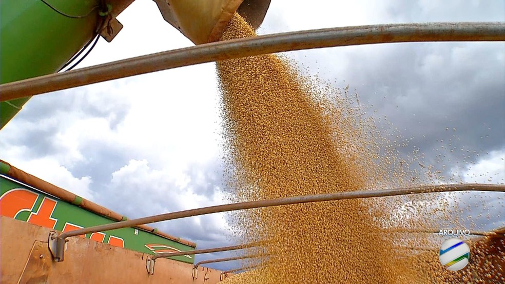 Exportação de soja de MT atinge recorde em abril, diz Imea 