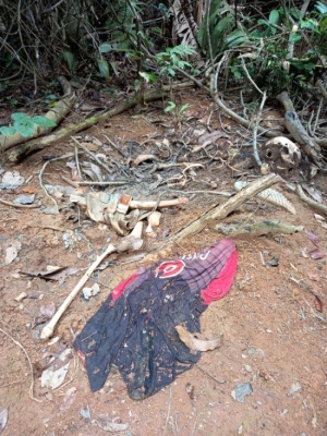 Restos mortais são encontrados na área rural de Colíder; identidade é apurada