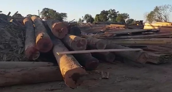Operação do Ibama em Vera-MT apreende 240 toras de madeira de origem ilegal