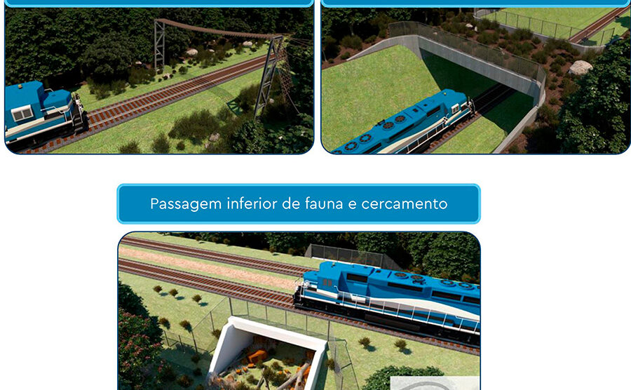 Justiça federal suspende emissão de licença para construir a ferrovia Rondonópolis-Cuiabá-Nova Mutum-Lucas
