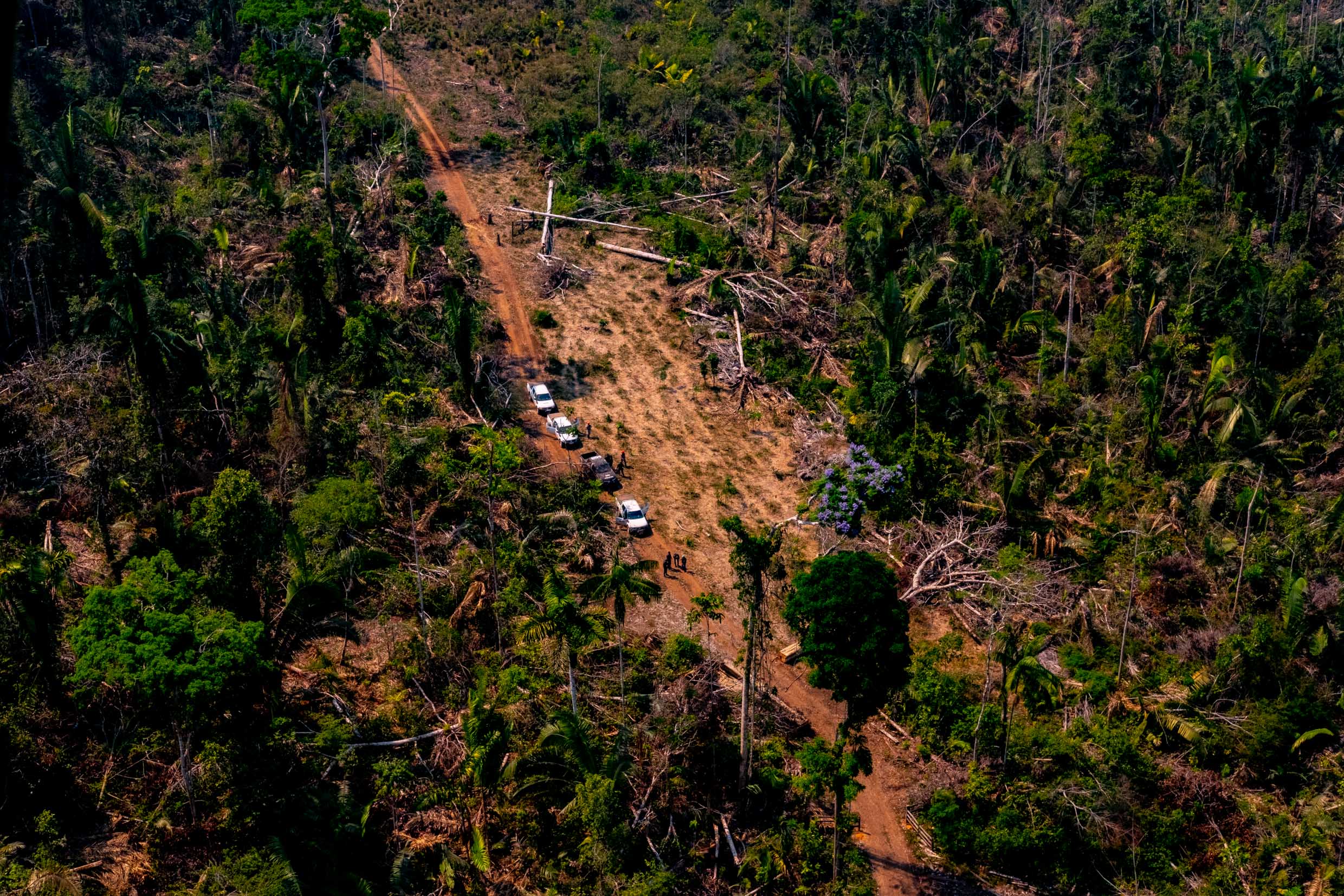 MT é o estado que mais desmatou a Amazônia Legal pelo quarto mês consecutivo, diz pesquisa