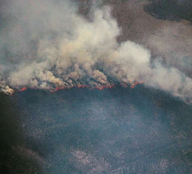 Incêndio atinge Pq. Cristalino II em MT; ONG aponta alta em desmatamento