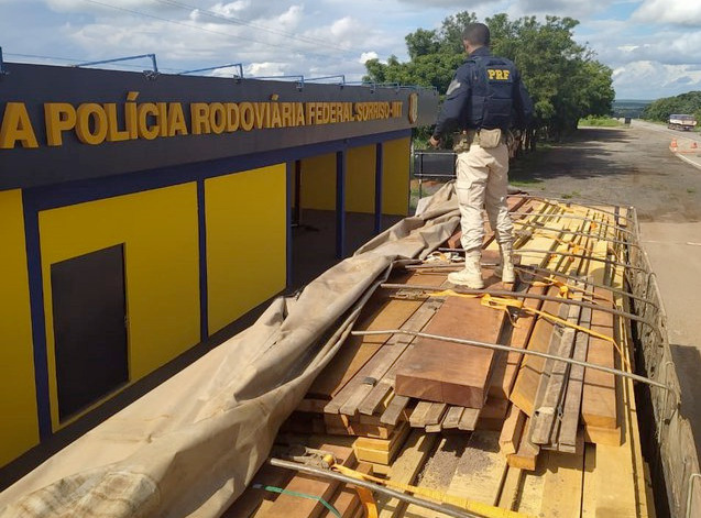 PRF apreende carga ilegal de madeira em Sorriso-MT