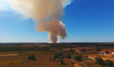 Incêndio atinge lavoura de milho e lança fumaça sobre Sinop-MT