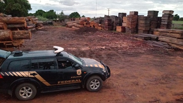 Empresas suspeitas de extração ilegal de madeira são alvos de operação da PF e Ibama em MT
